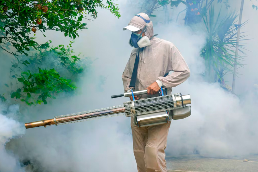 Realizan fumigaciones y desratizaciones en varias zonas
