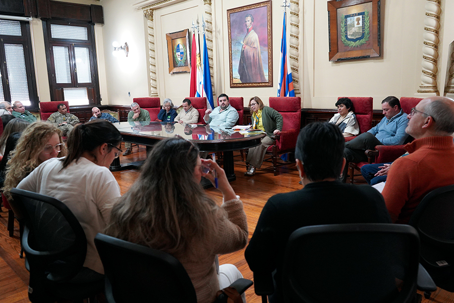Intendente junto a integrantes del Cecoed