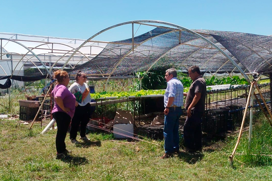 Autoridades visitando productores