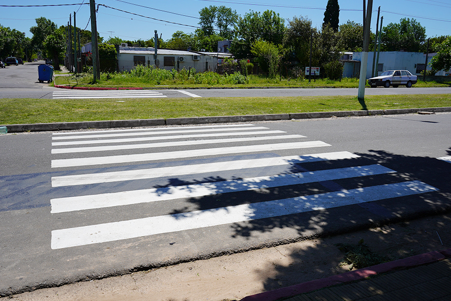 Pintado de cebra