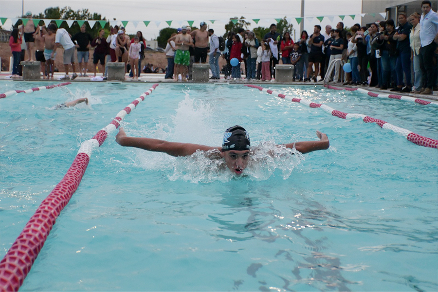 Nadador en nueva piscina semiolímpica