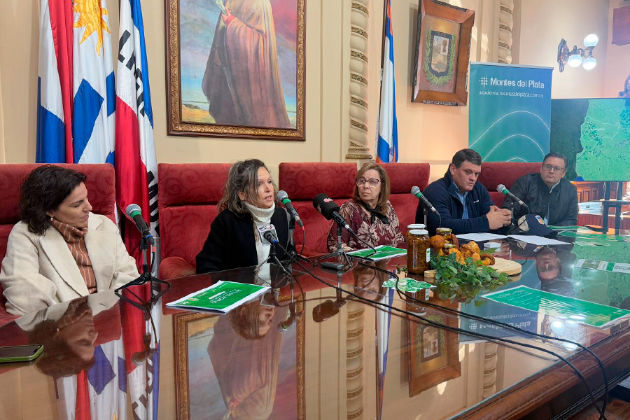Rueda de prensa