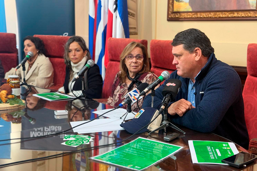 Rueda de prensa