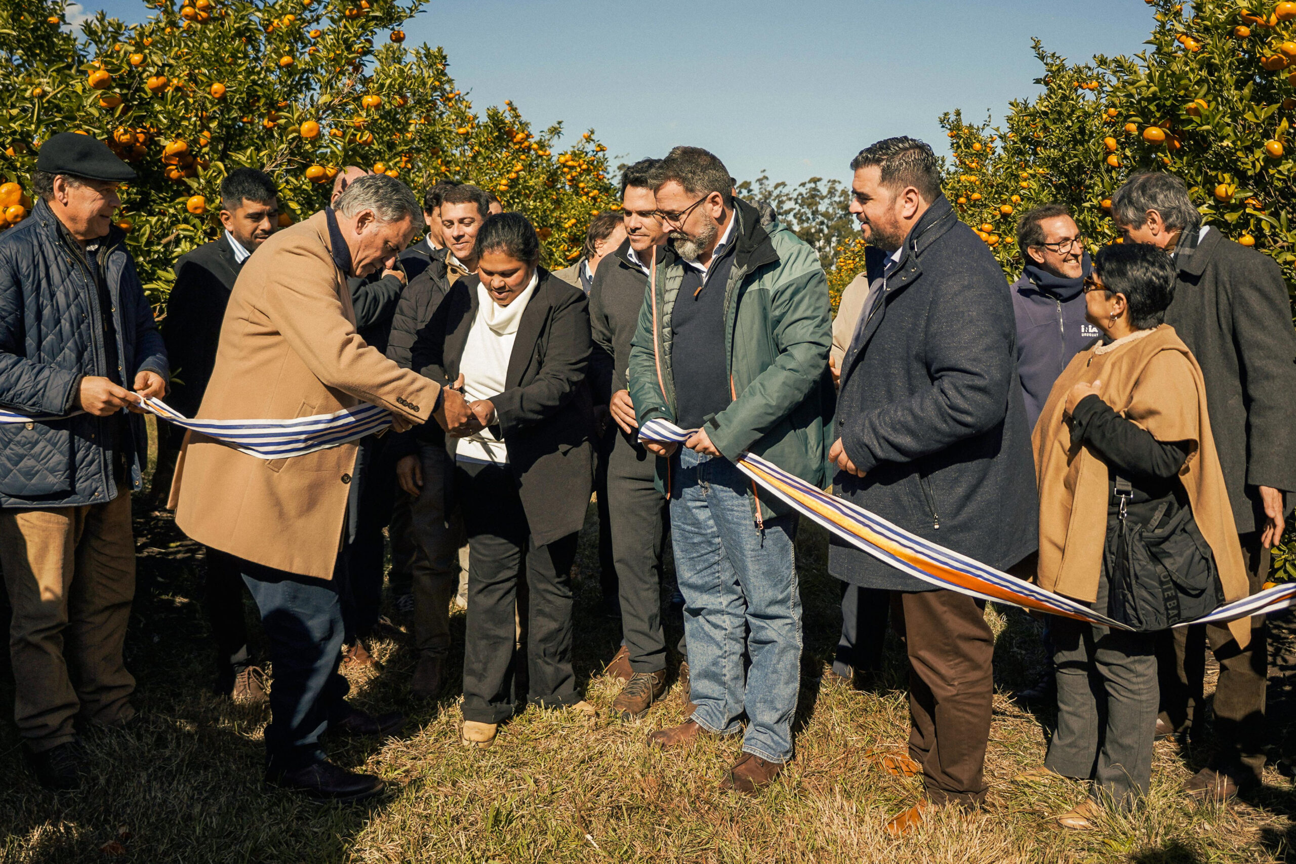 Olivera y Orsi inauguraron la zafra citrícola en Gallinal