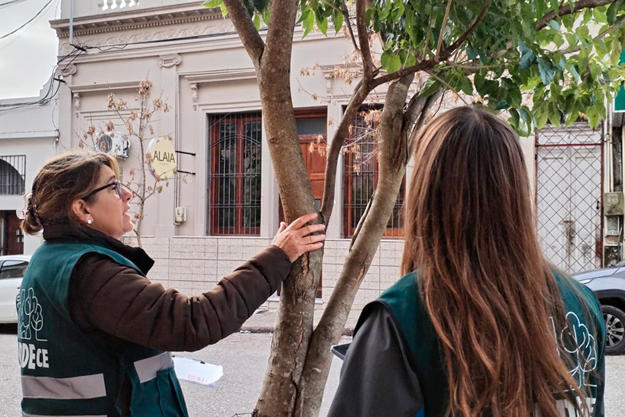 Técnicas realizando relevamiento de árboles en calles de la ciudad