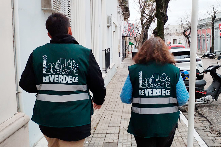 Técnicas realizando relevamiento de árboles en calles de la ciudad