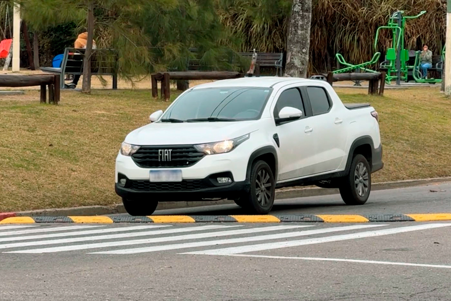 Auto parando delante de la cebra cebra